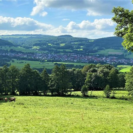 Ferienwohnung Natur-Pur Ehrenberg  Dış mekan fotoğraf