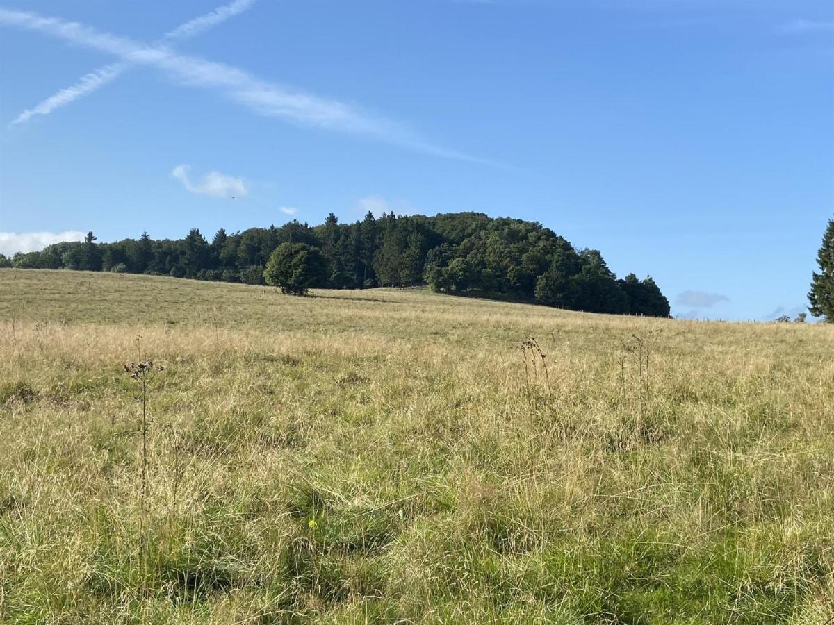 Ferienwohnung Natur-Pur Ehrenberg  Dış mekan fotoğraf
