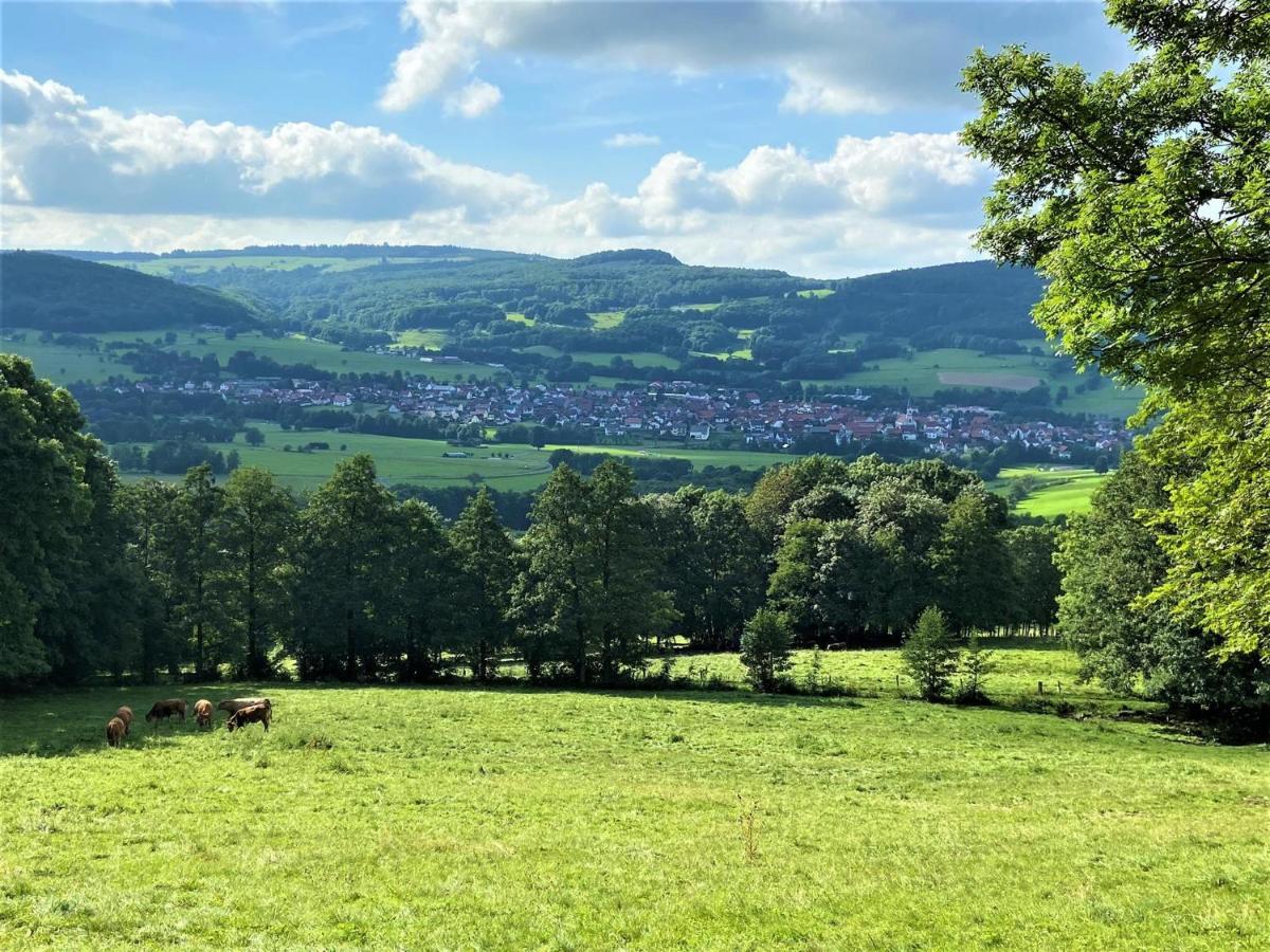 Ferienwohnung Natur-Pur Ehrenberg  Dış mekan fotoğraf